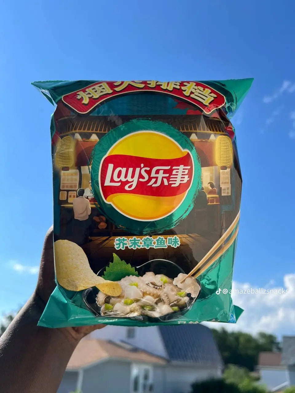 Lays from Taiwan : Wasabi Octopus